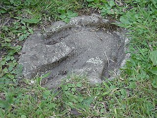 {short description of image}